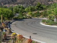 a curved road with palm trees, bushes and mountains in the background with a person riding a motorcycle down the side