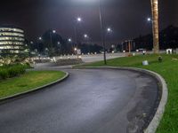 a roadway that is empty at night in an urban area with palm trees, a circular sidewalk and grassy areas