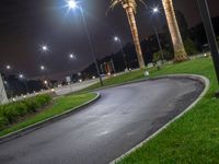 a roadway that is empty at night in an urban area with palm trees, a circular sidewalk and grassy areas