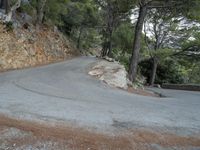 a curve is on a stone - edged road, along the woodside in front of the trees