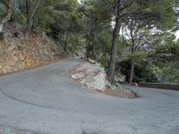 a curve is on a stone - edged road, along the woodside in front of the trees