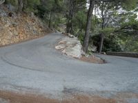 a curve is on a stone - edged road, along the woodside in front of the trees