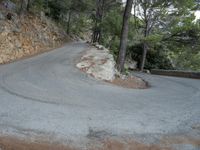 a curve is on a stone - edged road, along the woodside in front of the trees