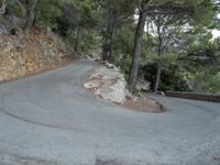 a curve is on a stone - edged road, along the woodside in front of the trees