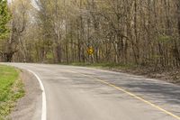 a empty paved country road winding through the forest to the right side of it with trees to the right of the road