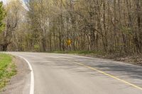 a empty paved country road winding through the forest to the right side of it with trees to the right of the road