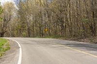 a empty paved country road winding through the forest to the right side of it with trees to the right of the road