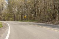 a empty paved country road winding through the forest to the right side of it with trees to the right of the road