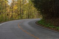 a curved road near the trees with orange leaves lining it and the road has yellow caution signs