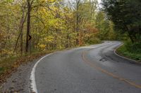 a curved road near the trees with orange leaves lining it and the road has yellow caution signs