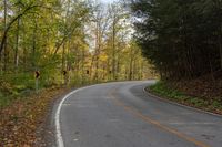 an empty road in the woods with leaves all over it and a curved curve sign