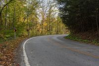 an empty road in the woods with leaves all over it and a curved curve sign