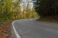 an empty road in the woods with leaves all over it and a curved curve sign