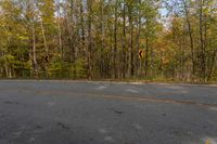 Curved Road in Ontario Forest with Grass