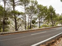 a curved road on a rocky cliff side in front of forest and cliffs with trees