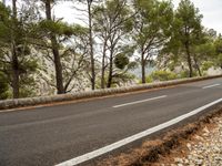 a curved road on a rocky cliff side in front of forest and cliffs with trees