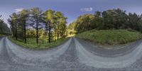 a road curves around some trees in a virtual panorama environment and then you have two of them