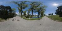 the 360 - angle shot captures the curved road leading into the trees and the grass