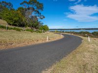 a curved road leading out into the distance near water and trees and grass in front