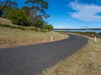 a curved road leading out into the distance near water and trees and grass in front