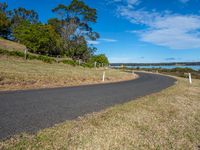 a curved road leading out into the distance near water and trees and grass in front