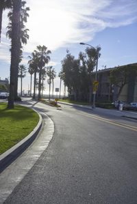 a curved street with some palm trees on the side and a yellow caution sign at the end