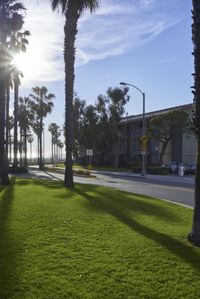 a curved street with some palm trees on the side and a yellow caution sign at the end