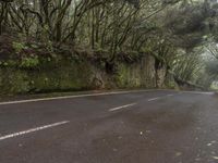 the asphalt street has a long curve of trees lining the street and two people walking up the side of the road