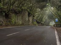 the asphalt street has a long curve of trees lining the street and two people walking up the side of the road