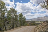 the road is lined with trees near a rocky hill and field with white clouds in the blue sky