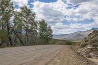 the road is lined with trees near a rocky hill and field with white clouds in the blue sky