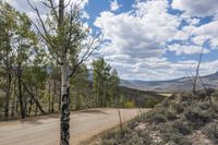 Curving Path on Dirt Road through Hills 001
