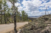 Curving Path on Dirt Road Through Hills