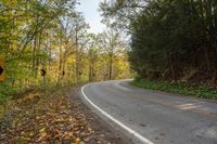 a curving road leads into some forest in the fall season at a state park in tennessee