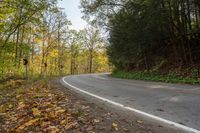 a curving road leads into some forest in the fall season at a state park in tennessee