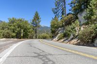 a road curves down the side of a rocky mountain with some trees on the far side