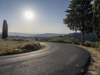 the road curves into an empty mountain side with large trees in the foreground and to the far end, and the sun is rising