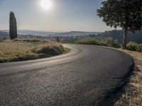 the road curves into an empty mountain side with large trees in the foreground and to the far end, and the sun is rising