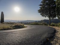 the road curves into an empty mountain side with large trees in the foreground and to the far end, and the sun is rising