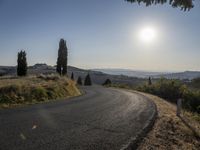 the road curves into an empty mountain side with large trees in the foreground and to the far end, and the sun is rising