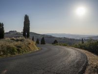 the road curves into an empty mountain side with large trees in the foreground and to the far end, and the sun is rising