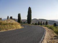 the road curves into an empty mountain side with large trees in the foreground and to the far end, and the sun is rising