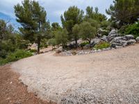 Curvy Road in Mallorca, Balearic Islands