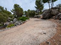 Curvy Road in Mallorca, Balearic Islands