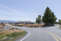 there are two curves on this curvy road where traffic is backed up and left