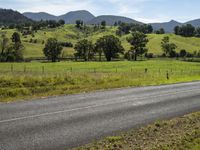 there is a man riding a bicycle down the road near a lush green field and mountains