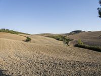 a dirt path in the middle of an open field near trees and hills and a person on a bicycle