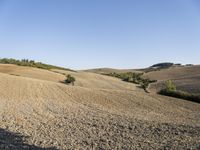 a dirt path in the middle of an open field near trees and hills and a person on a bicycle