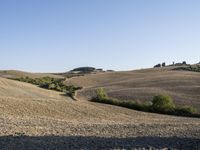 a dirt path in the middle of an open field near trees and hills and a person on a bicycle