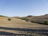 a dirt path in the middle of an open field near trees and hills and a person on a bicycle